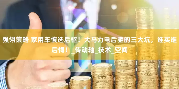 强翎策略 家用车慎选后驱！大马力电后驱的三大坑，谁买谁后悔！_传动轴_技术_空间