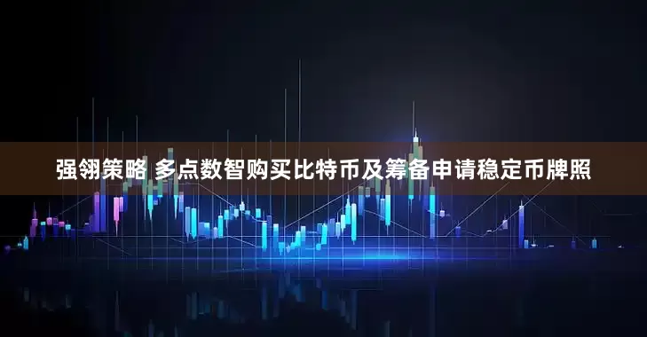 强翎策略 多点数智购买比特币及筹备申请稳定币牌照